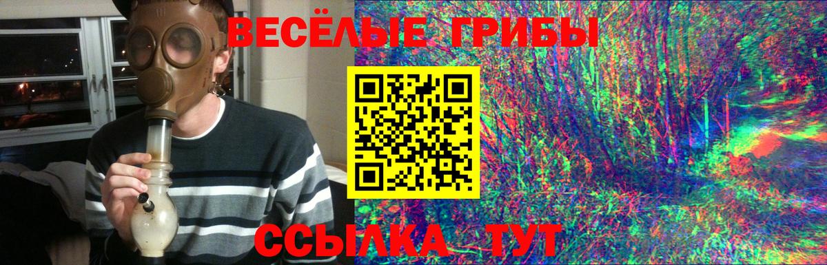 Псилоцибиновые грибы Psilocybe  Вход с VPN  Галлюциногенные грибы Cubensis  Полевской 